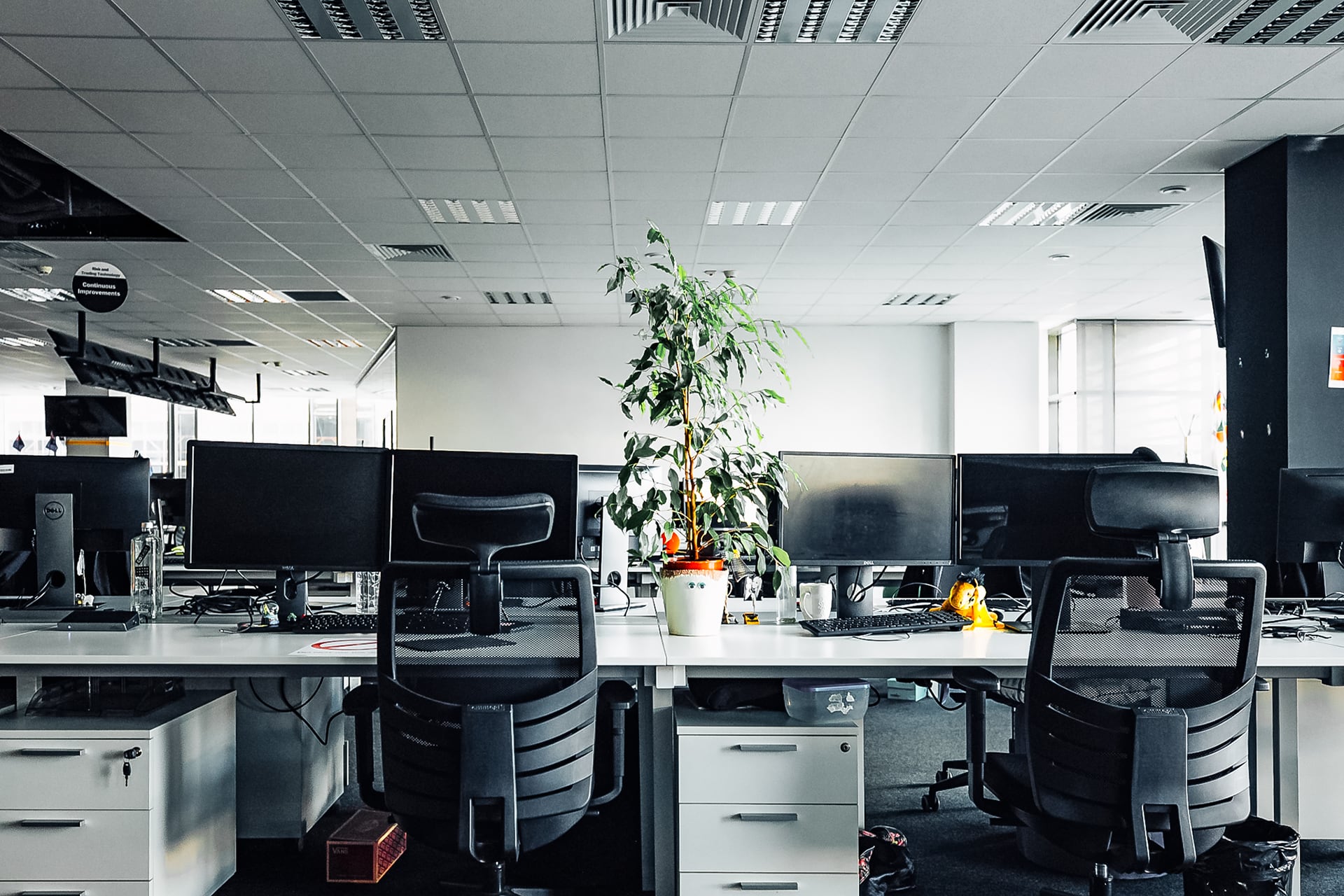 a office with a plant in a pot
