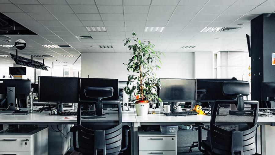 a office with a plant in a pot